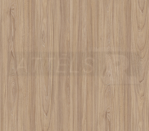 Natural Noble Elm