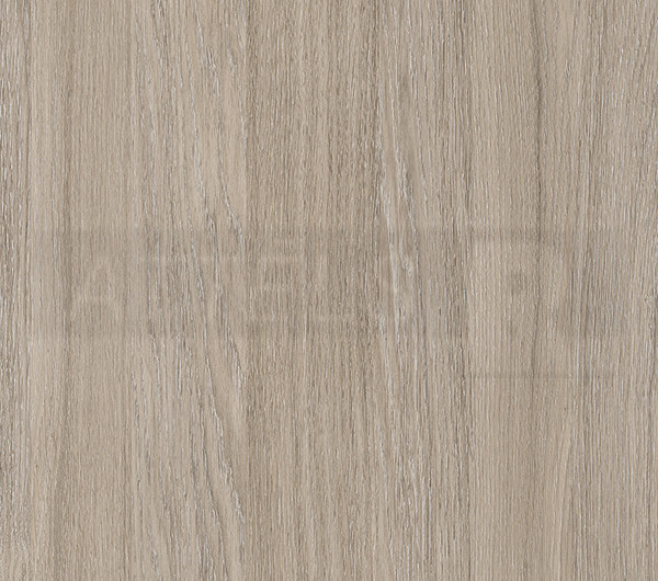 Oyster Urban Oak