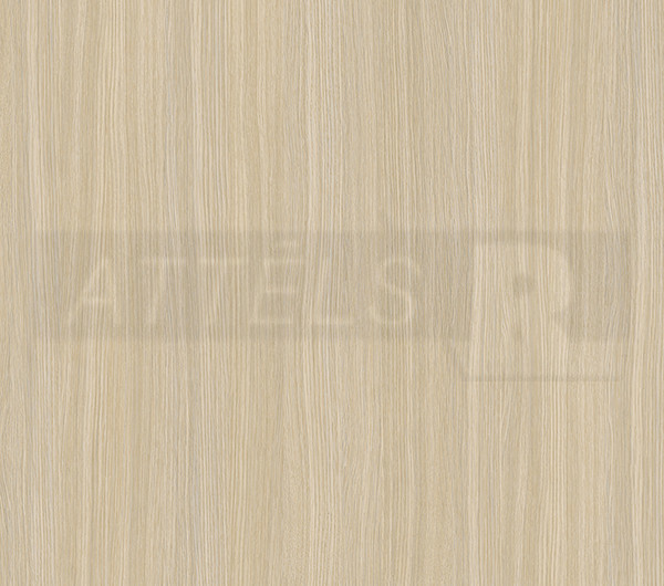Ferrara Oak