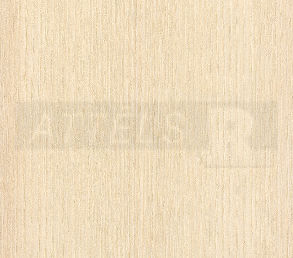Osis (uz MDF)