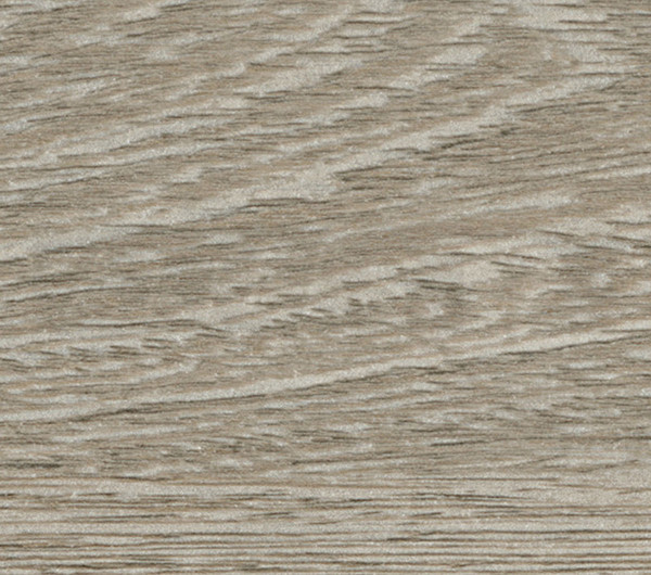 Silver Wenge