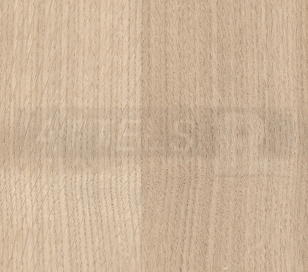 Ozols Eiropas (uz MDF)