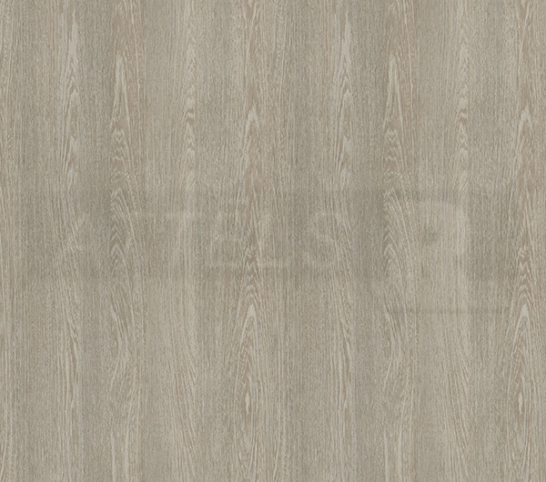 Silver Wenge