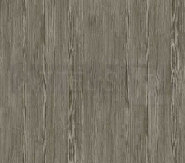 Bodega Grey