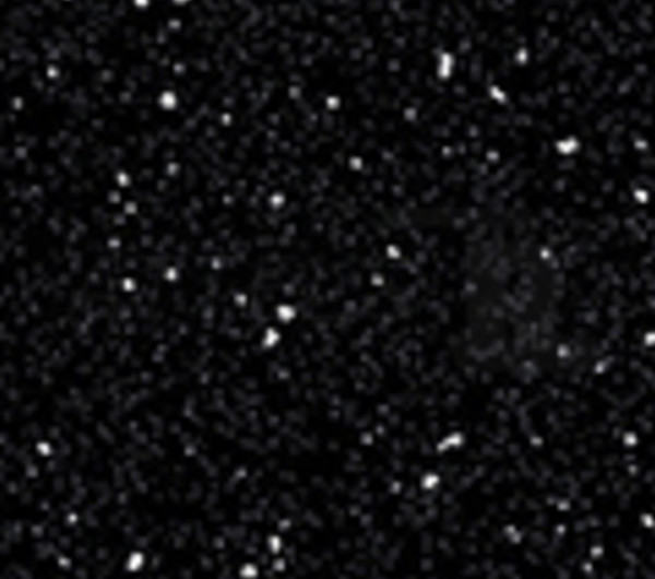 Black Andromeda