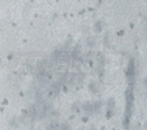 Light Grey Chicago Concrete