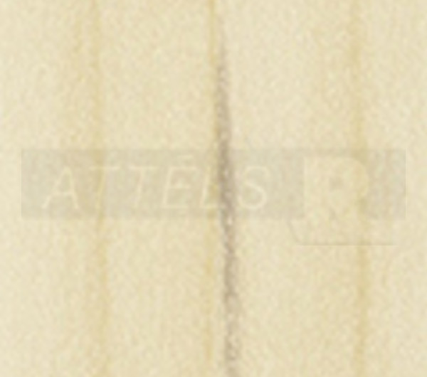 Natural Mandal Maple