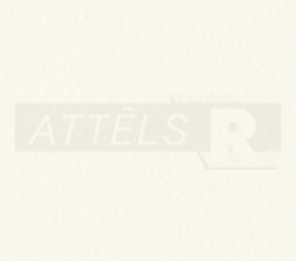 Cotton Beige