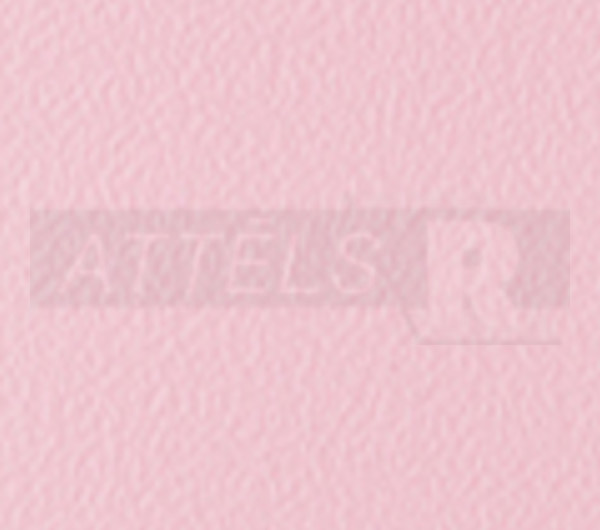 Flamingo Pink