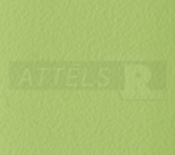 Kiwi Green