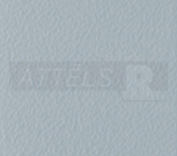 Arctic Grey