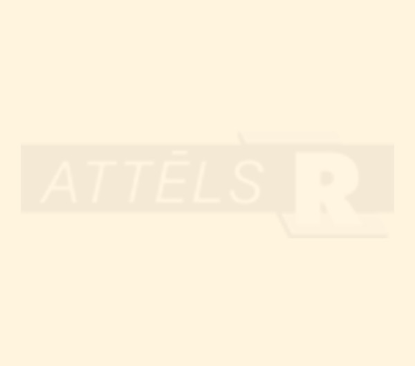 Crema Beige Matt