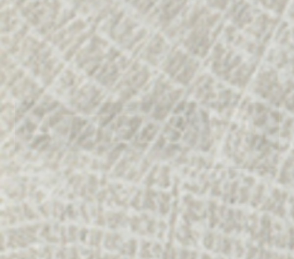 White Halifax Oak END-GRAIN