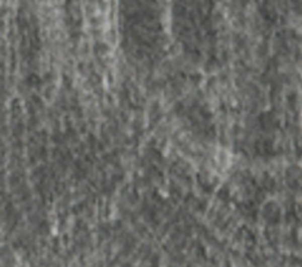 Pine Ponderosa END-GRAIN
