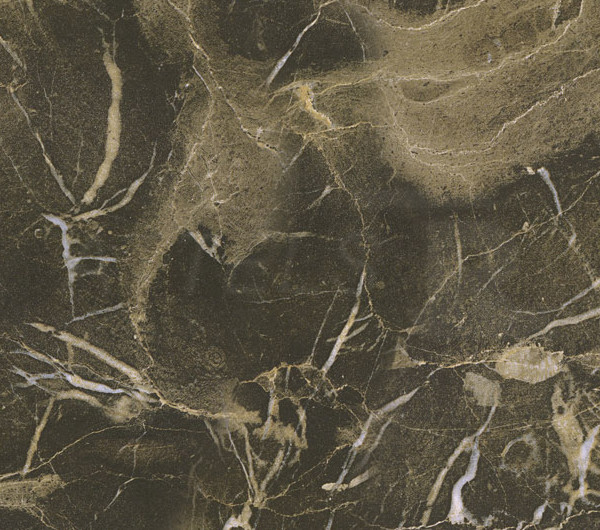 Oriental Stone Brown
