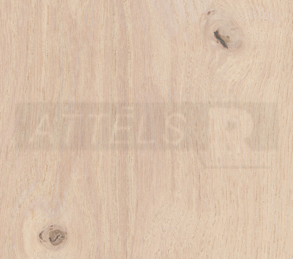 Knotty Oak (uz MDF)