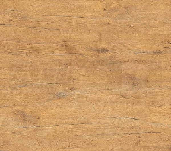 Pale Lancelot Oak