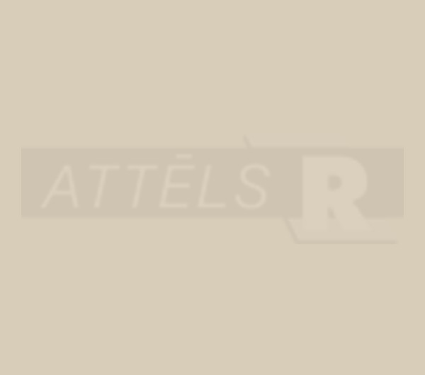Beige, kompensators
