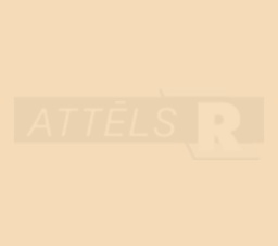 02-AP01396-21-13