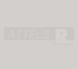 44-A2910-POL-0.9-BK