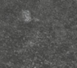 09-K205-RS-42