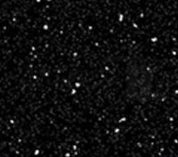 09-K218-GG-42