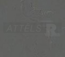09-1011-42-06