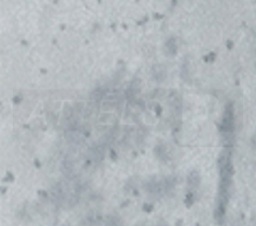 10-HD29186-23-1