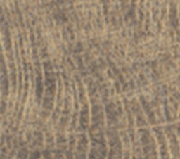 10-HD242181-23-1