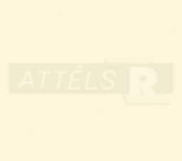 06-2811-RUST-38-60