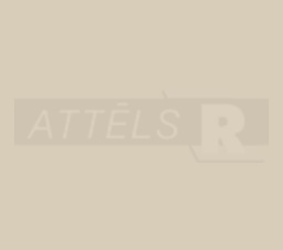 52-7529-RS-GLASS