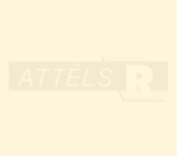 08-U11509-EM-8-EXT