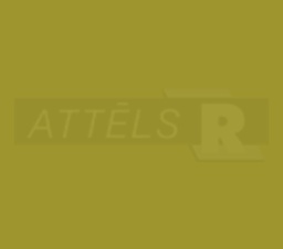08-U17271-EM-8-EXT
